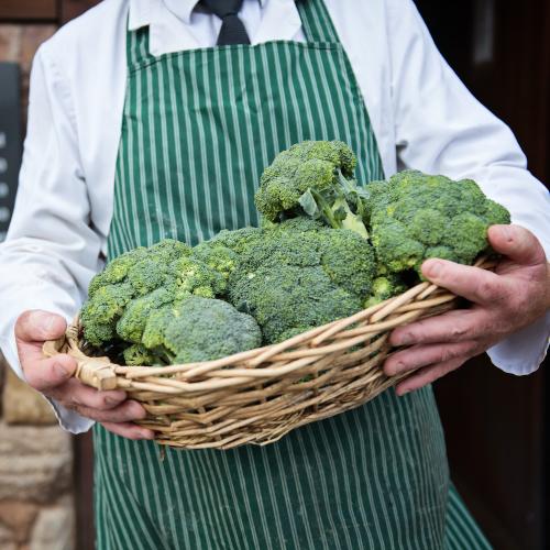Vegetables 