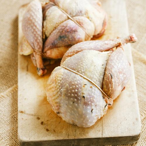 Pheasant