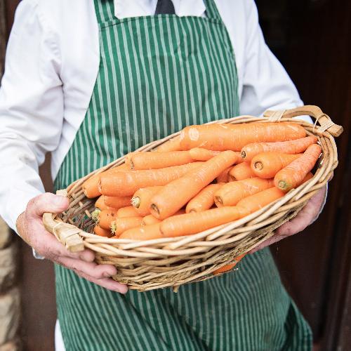 Carrots