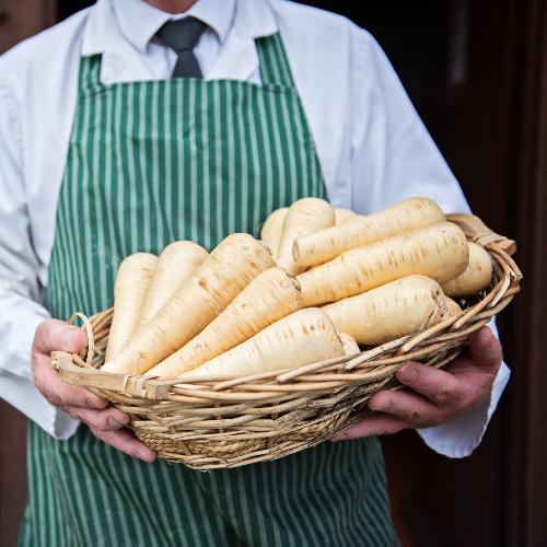 Parsnips