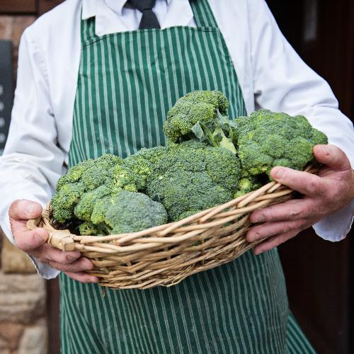 Brocoli
