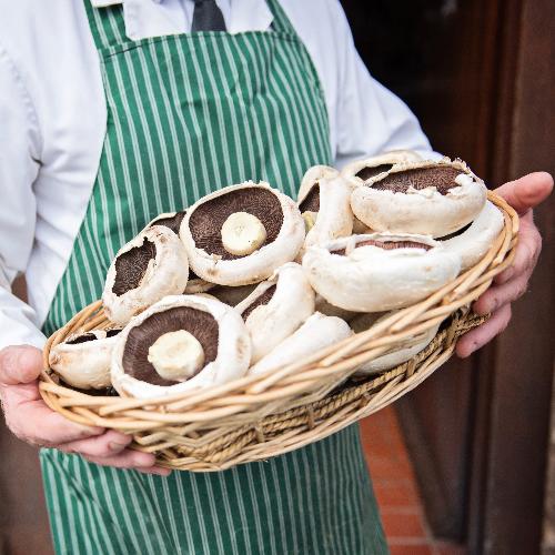 Large Mushrooms